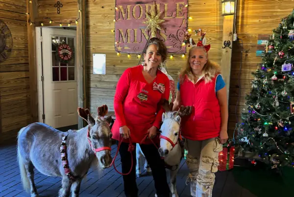 Women posing with donkeys near Christmas tree