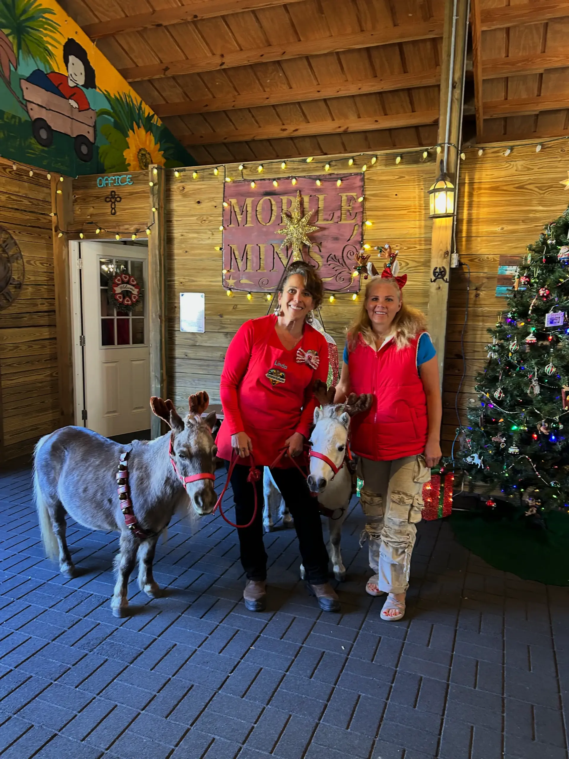 Women posing with donkeys near Christmas tree