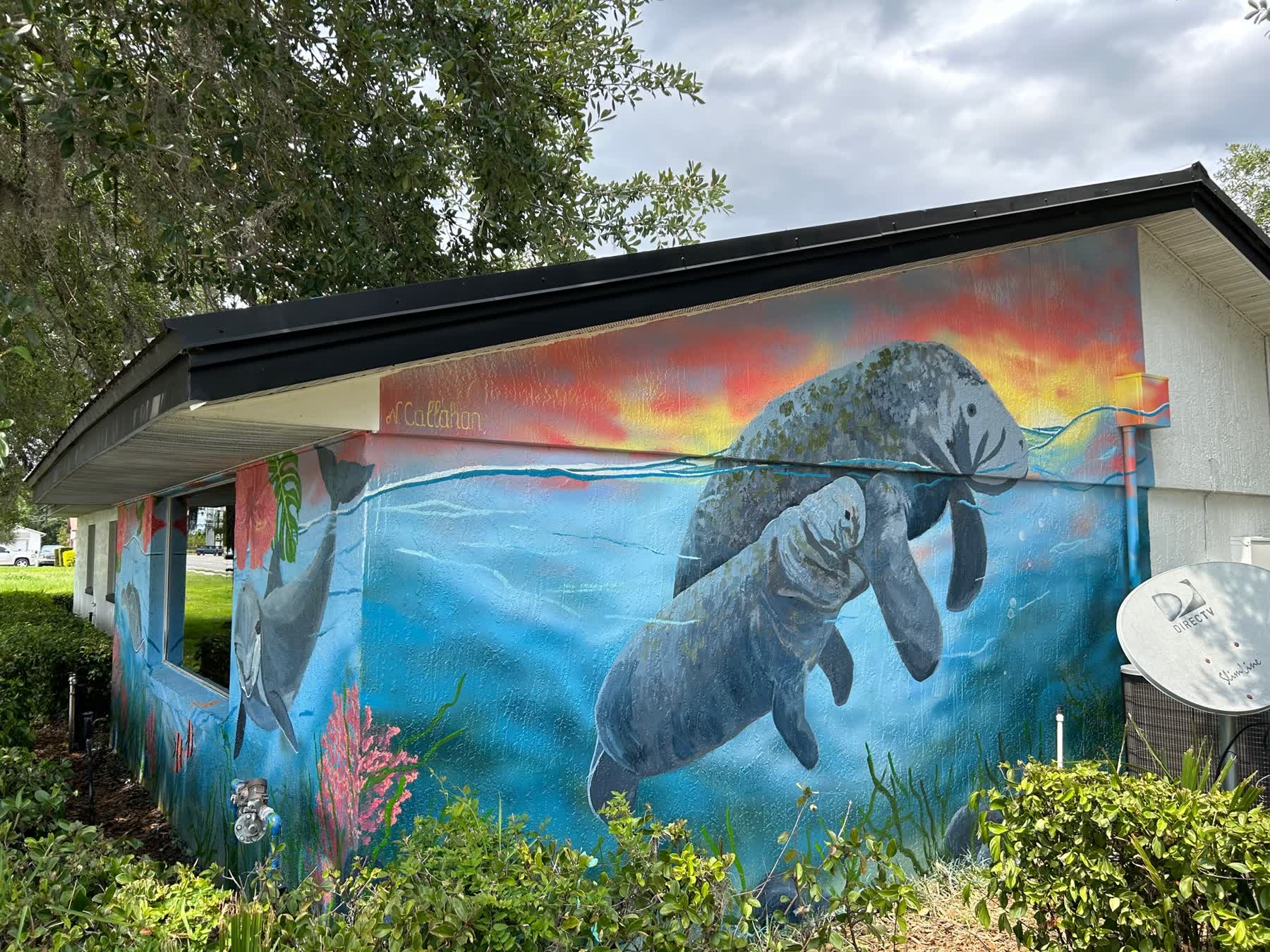Colorful mural of manatees underwater on building wall