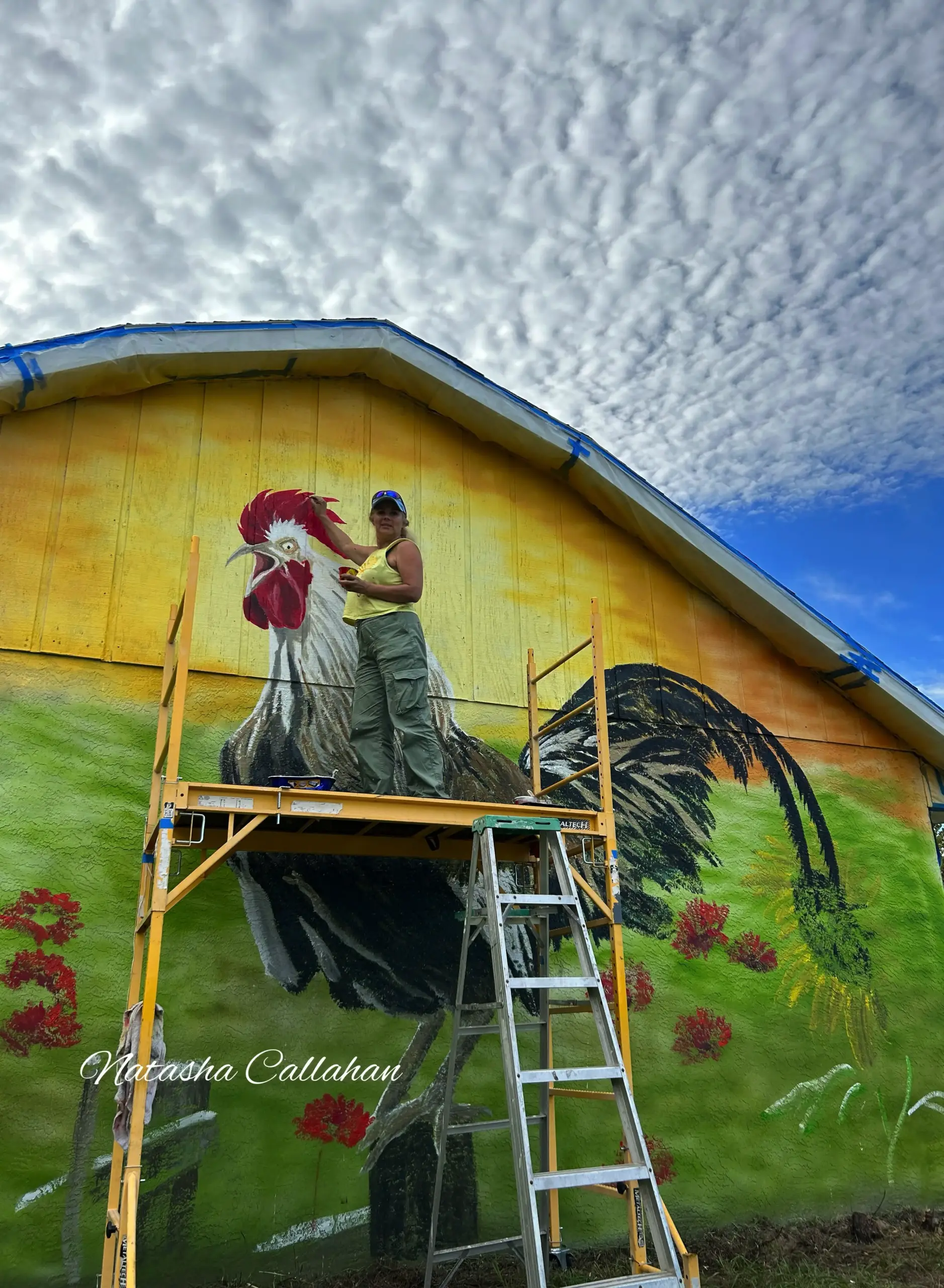 Artist painting colorful rooster mural on barn
