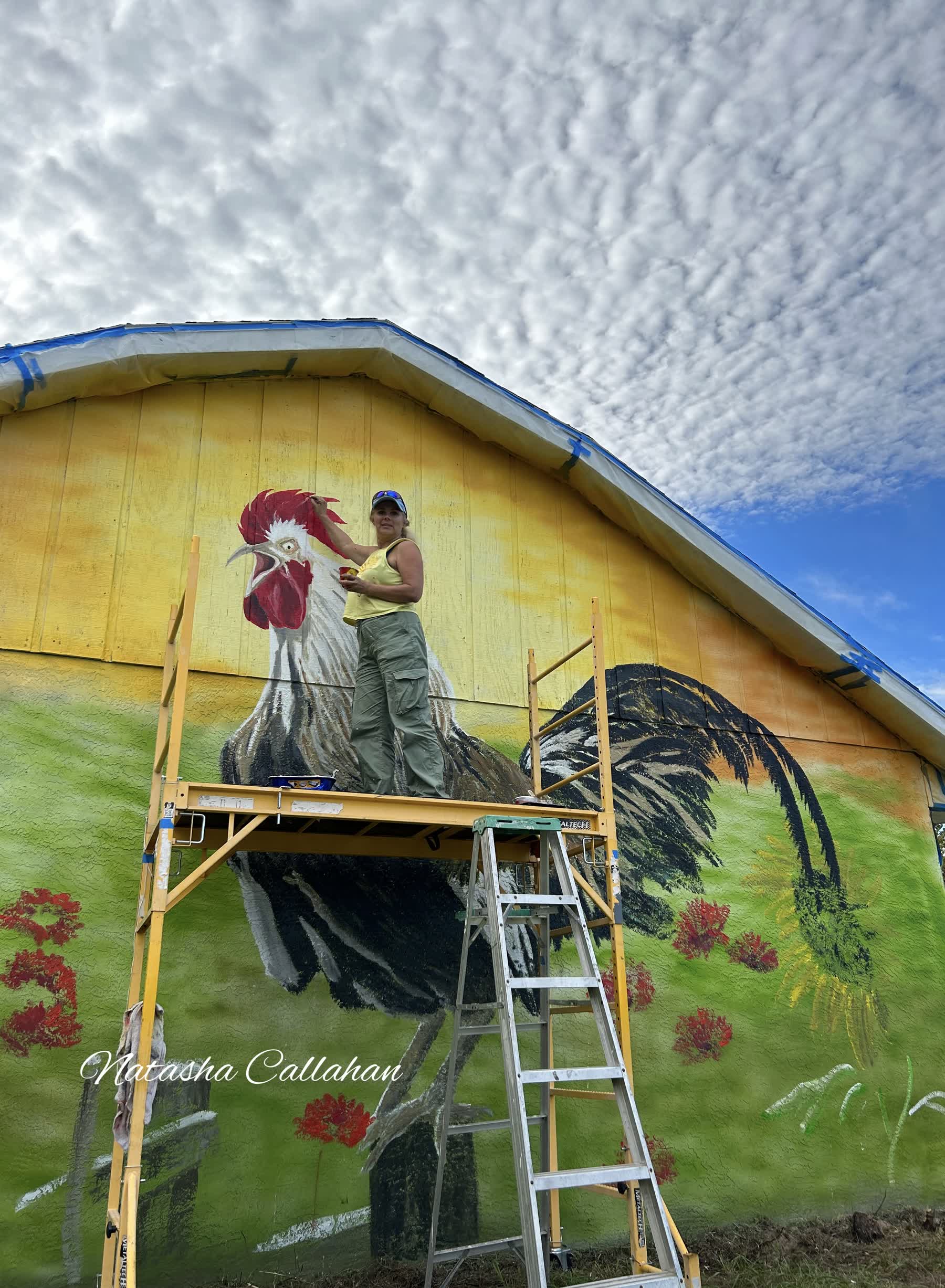 Artist painting rooster mural on yellow barn wall